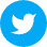 Icon-twiter